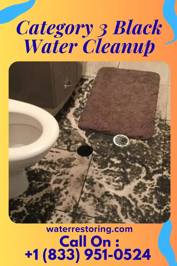 Category 3 Black Water Cleanup in Teaticket, MA