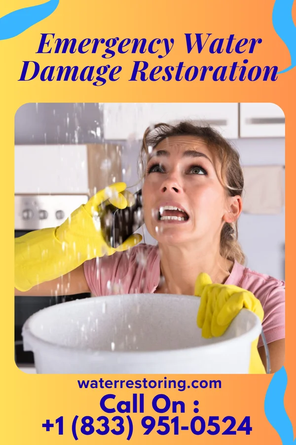 Emergency Water Damage Restoration in Teaticket, MA