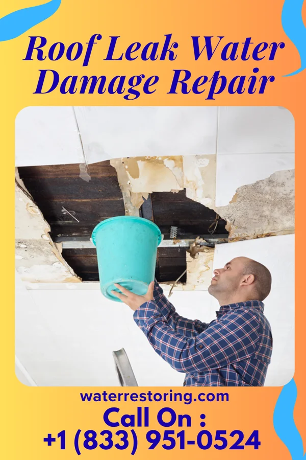 Roof Leak Water Damage Repair in Teaticket, MA