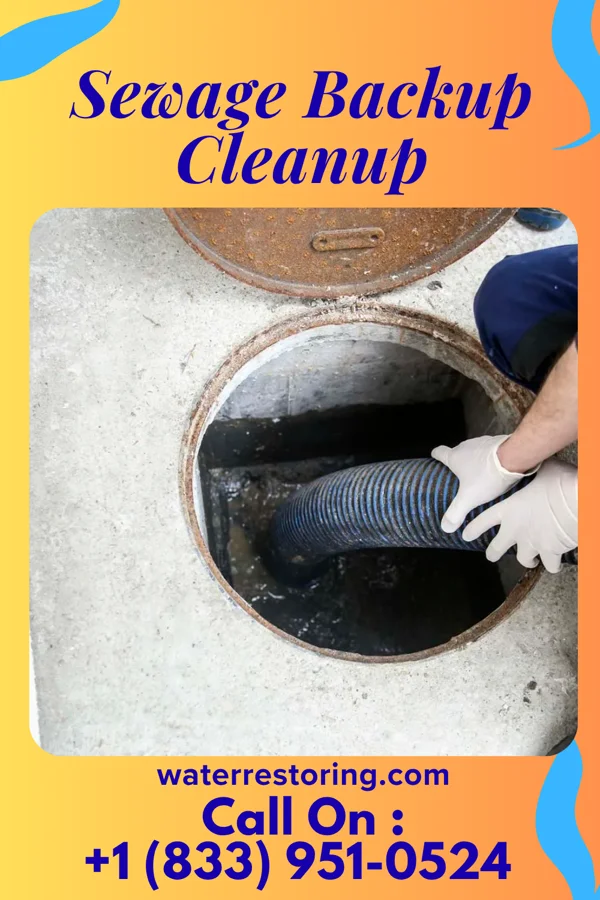 Sewage Backup Cleanup in Teaticket, MA