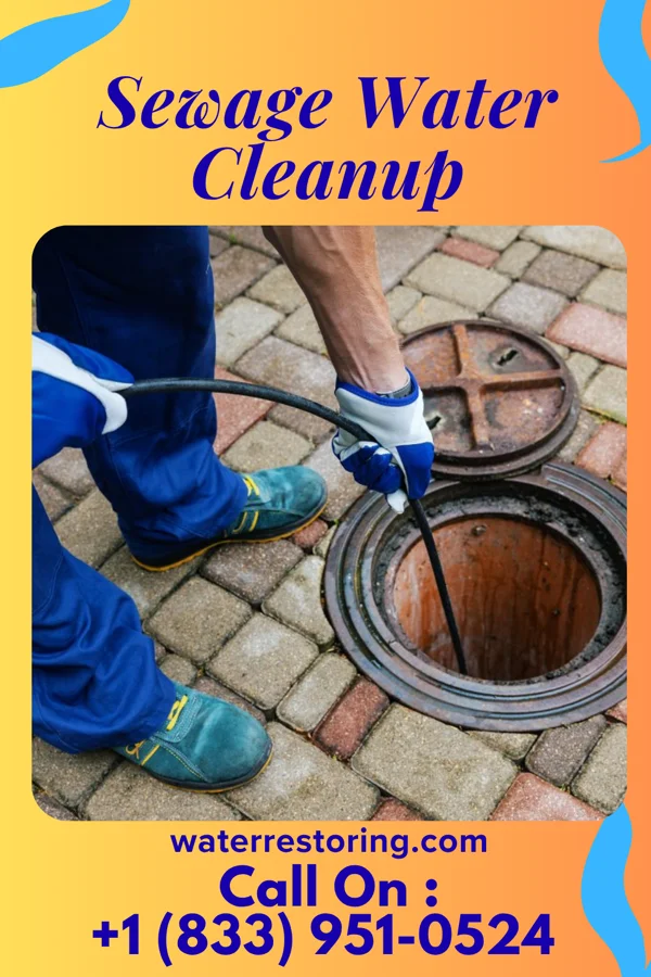 Sewage Water Cleanup in Teaticket, MA