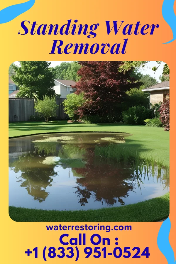 Standing Water Removal in Teaticket, MA